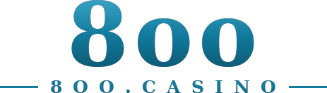 8oo logotipo